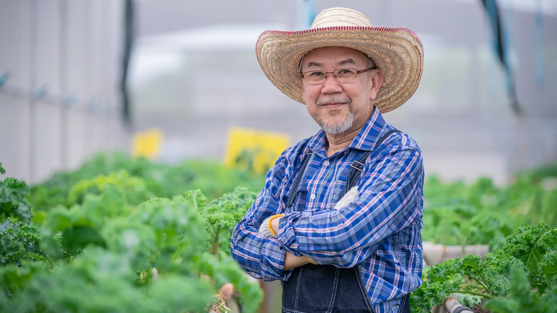 Awal mula kebun kami