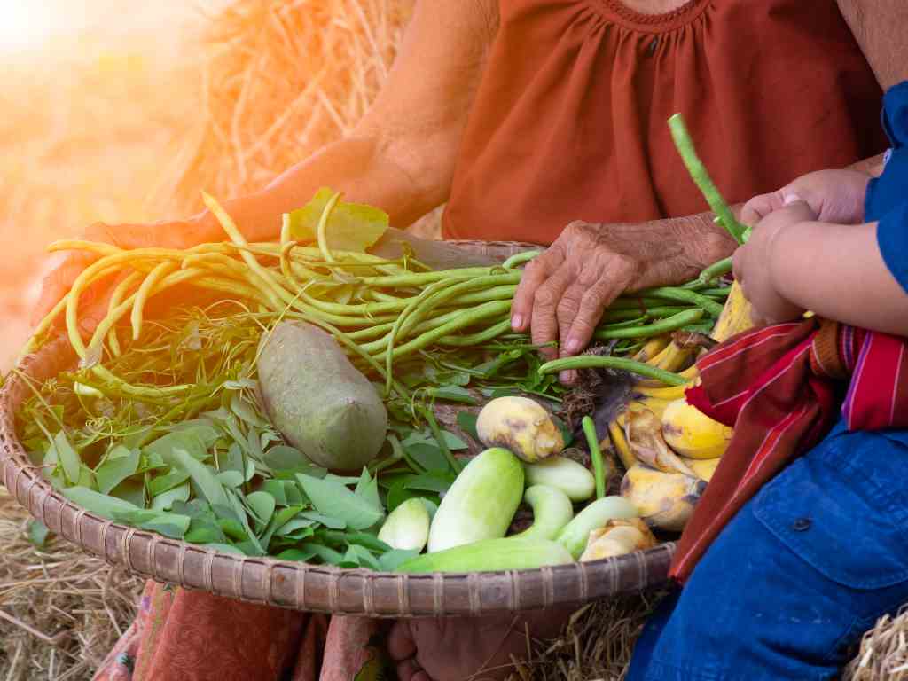 Panduan Menanam Sayuran di Rumah untuk Pemula